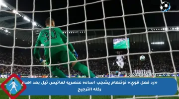 «رد فعل قوي» توتنهام يشجب إساءة عنصرية لماتيس تيل بعد إهدار ركلة الترجيح